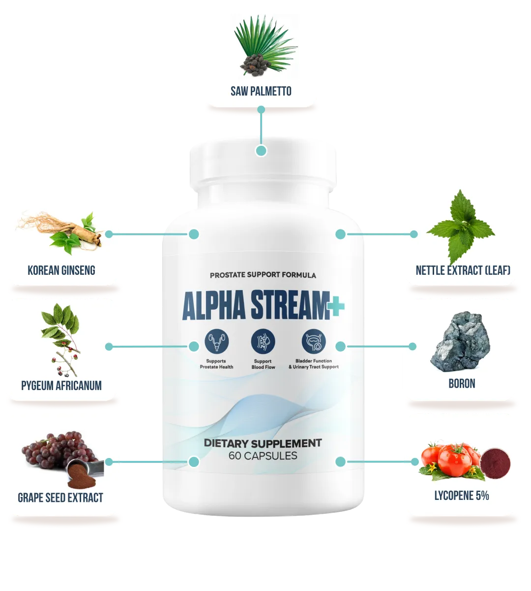slpha stream plus supplement